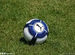 开云体育入,产品,开云体育入口,开云体育,开云体育官网,开云体育app,开云体育平台,KAIYUN,SPORTS,kaiyun登录入口