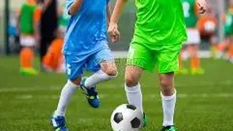 开云体育入口 资讯 115504 vq3