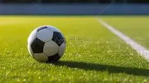 开云体育入口 资讯 094159 acf