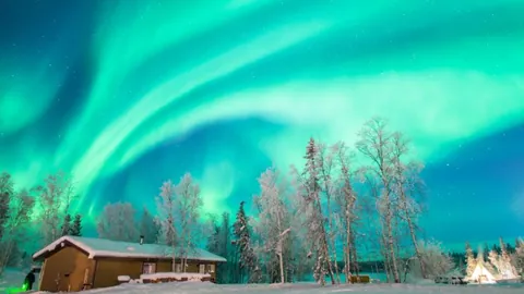 开云体育入口 产品 024152 mkq