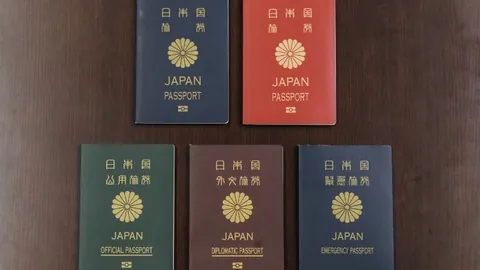 开云体育入口 产品 095335 s7l