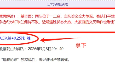 陈柏阳、刘毅马来西亚羽毛球公开赛晋级八强